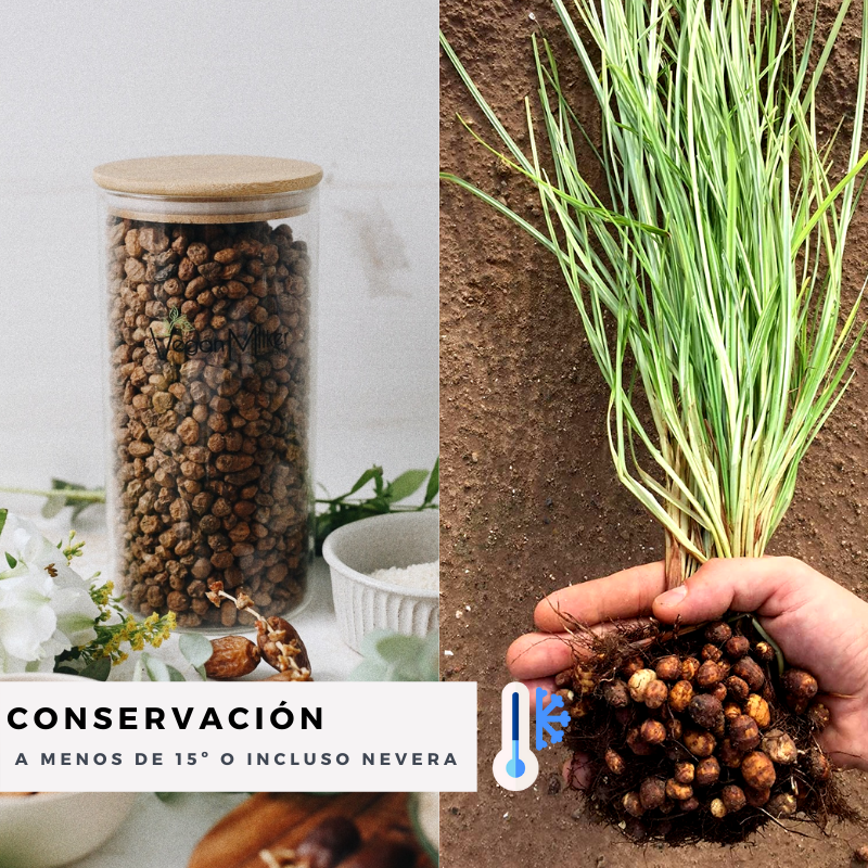 Harina de Chufa 1 KG - Chufa molida natural y ecológica D.O | Món Orxata.