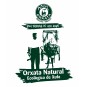 Horchata Natural de Chufa D.O. Valencia 1 L | Món Orxata