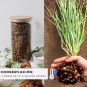 Harina de Chufa 225 g | Chufa Molida Tradicional de Valencia
